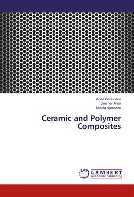 Ceramic and Polymer Composites Zviad Kovziridze (u. a.) Taschenbuch 452 S. 2017