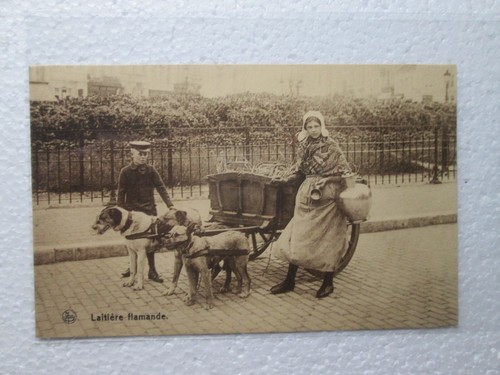 Antique RPPC Flemish Laitiere Milkmaid Dog Pulling Cart Photo Postcard - Picture 1 of 2