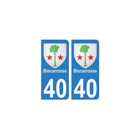 Autocollants Blason 40 Biscarrosse Pour Plaque Immatriculation - 2 Stickers Vinyle Haute Résistance, Lavage Haute Pression, 4.5 X 9.8 Cm - 3