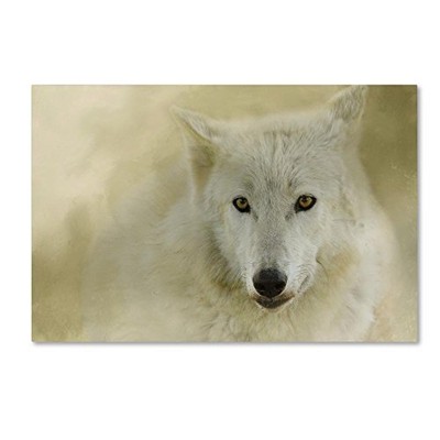 ALI14671-C2232GG Canvas Art, 22x32