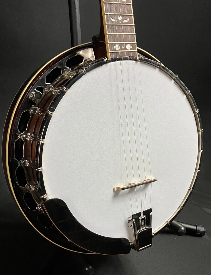 Banjo de 5 cuerdas Bluegrass Recording King RK-R20 Songster Foto 3 de 4