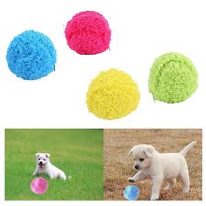 automatic rolling ball for dogs
