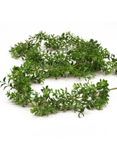 Buchsgirlande Buchsbaum 120 cm Hochzeitsgirlande Grüne Ranke künstliche Girlande