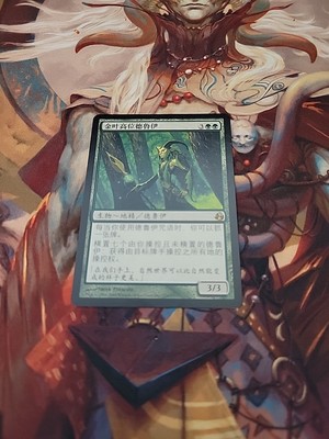 MTG GILT-LEAF ARCHDRUID PLAYED/ROVINATO - ARCIDRUIDO DI FOGLIA DORATA - MOR ITA