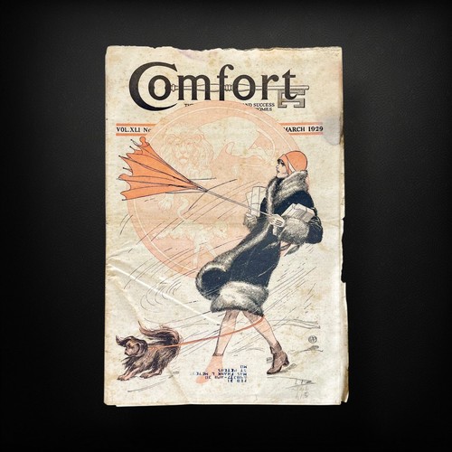Comfort Magazine March 1929 Flapper Fashion EJP Cover 1920s VTG Lifestyle - Foto 3 di 10