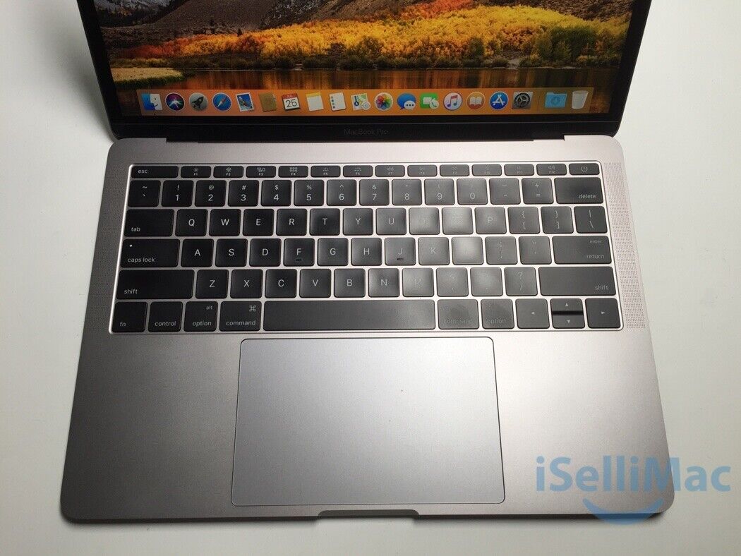 Apple 13