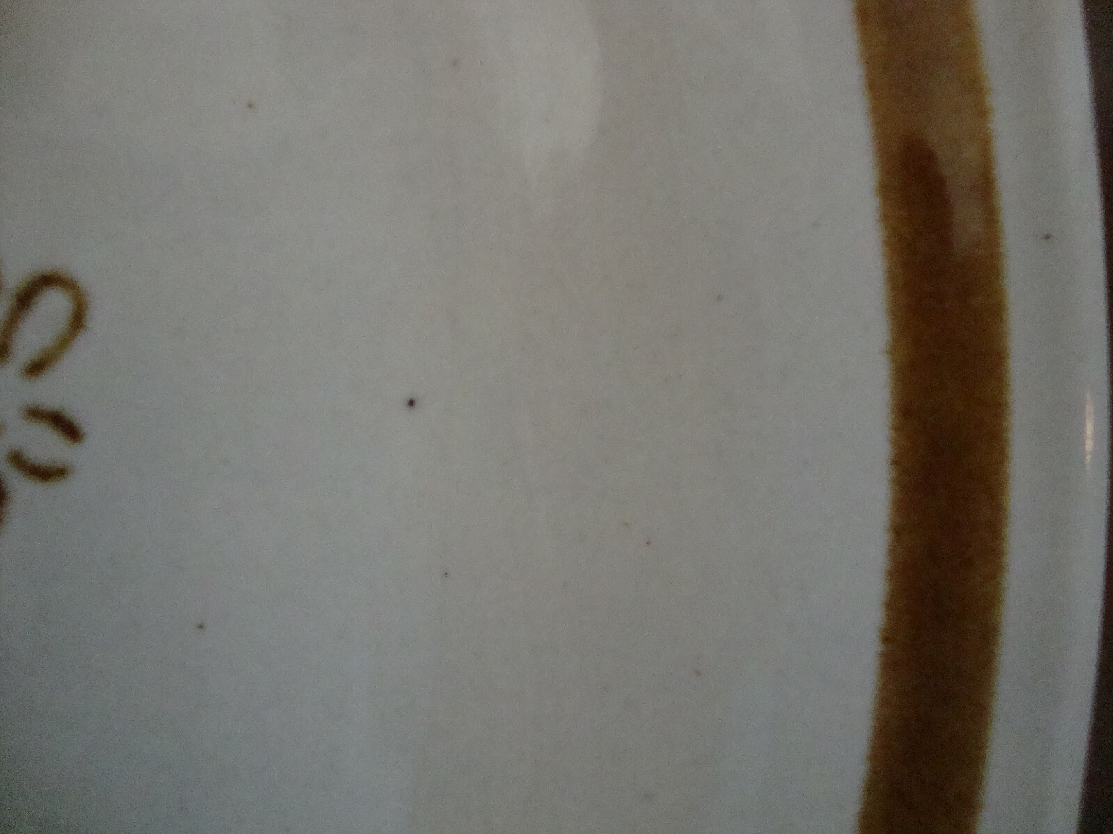 Picture 7 of 7