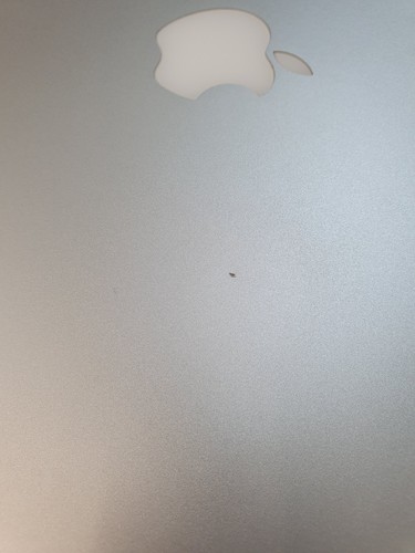 Apple MacBook Pro A1502 i5@2.6Ghz 8GB 256GB SSD Mid 2014 Big Sur Grade C EH0603 - Picture 7 of 12