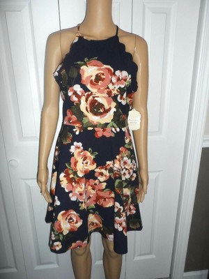 Altard State Blue Floral Dress