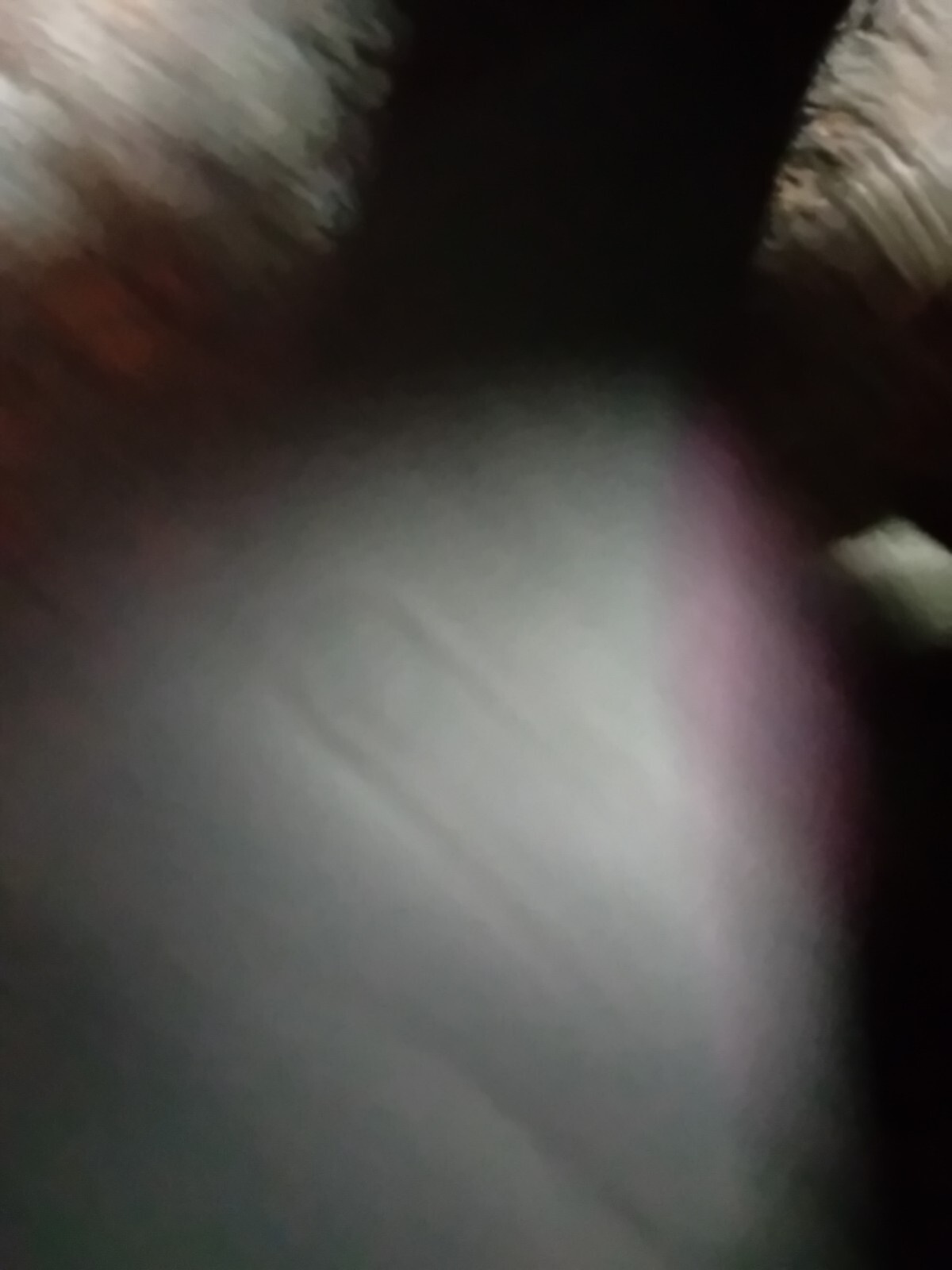 Picture 6 of 15