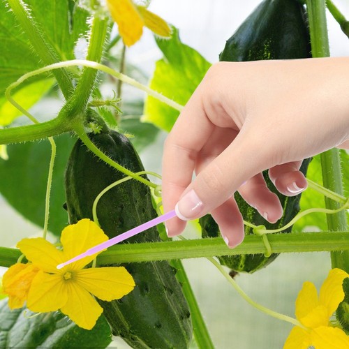 20Pcs Eggplant Pollinator Tool Fruit Vegetables Pollinator Tool Tomato - 第 8/12 張圖片