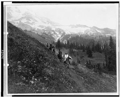 Horseback,trail,Van Trump Park,Mount Rainier National Park,Washington,WA,1911