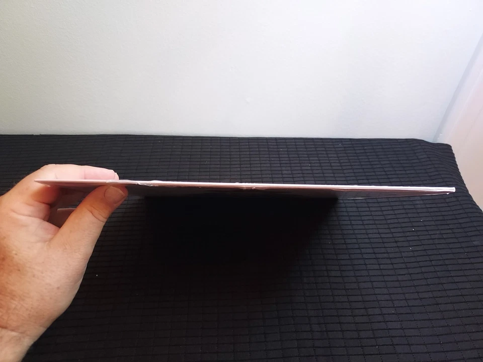 SEALED~Kid Rock~First Kiss~Vinyl Record LP 2015~RARE~OOP Foto 3 de 4