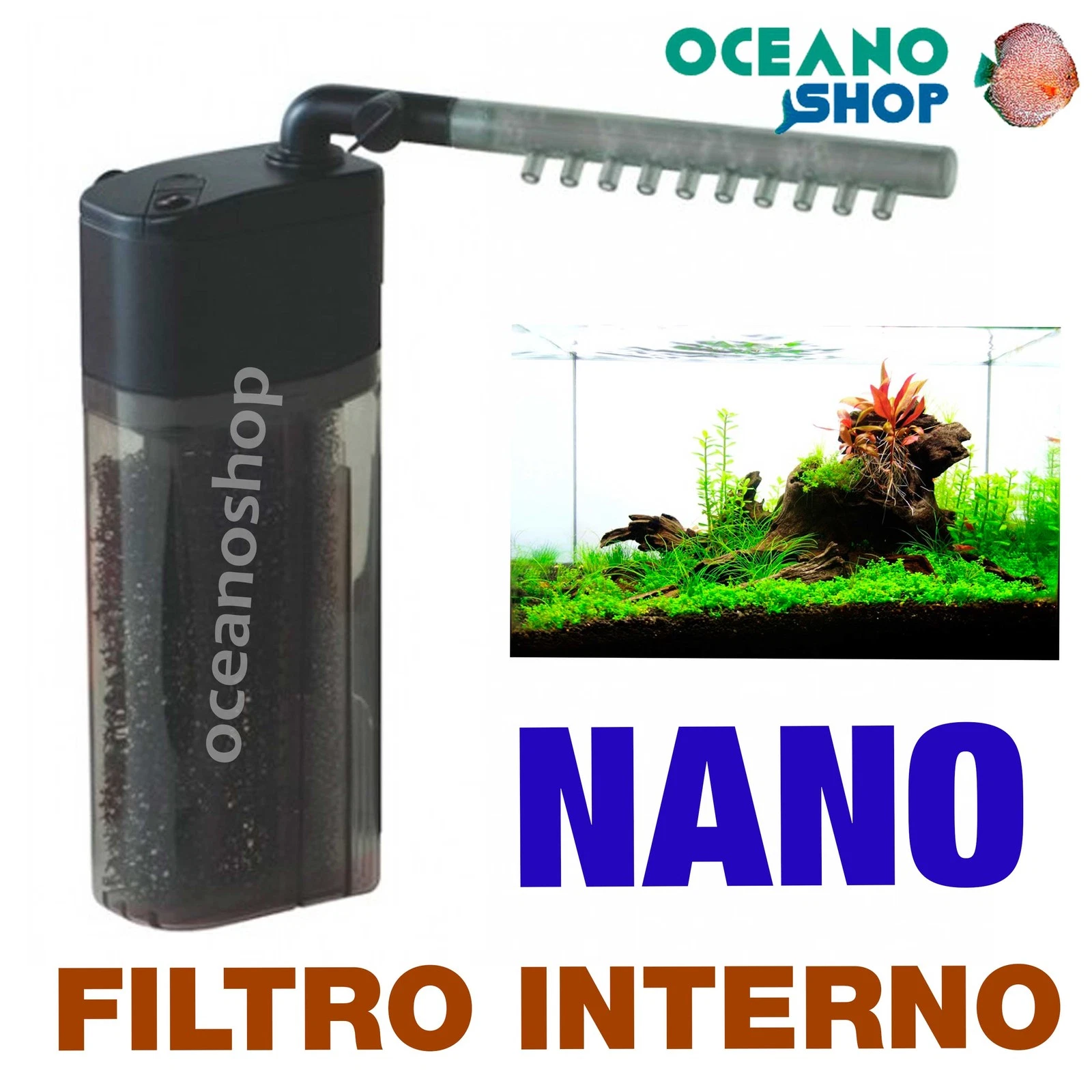 Imagen 1 de 1