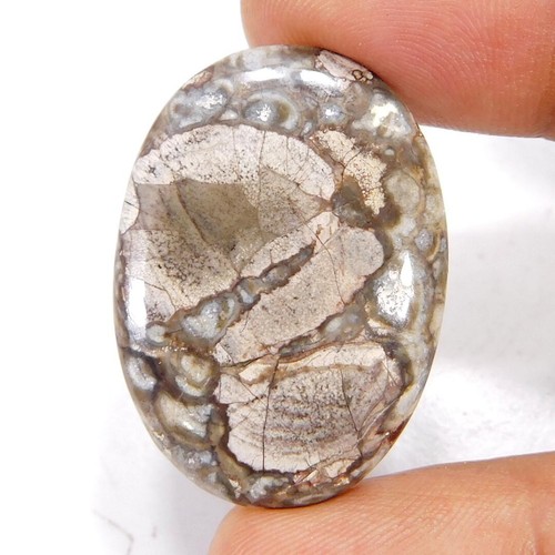Cabochon ovale Pietersite doré unique 100 % naturel 20,40 ct. Loose