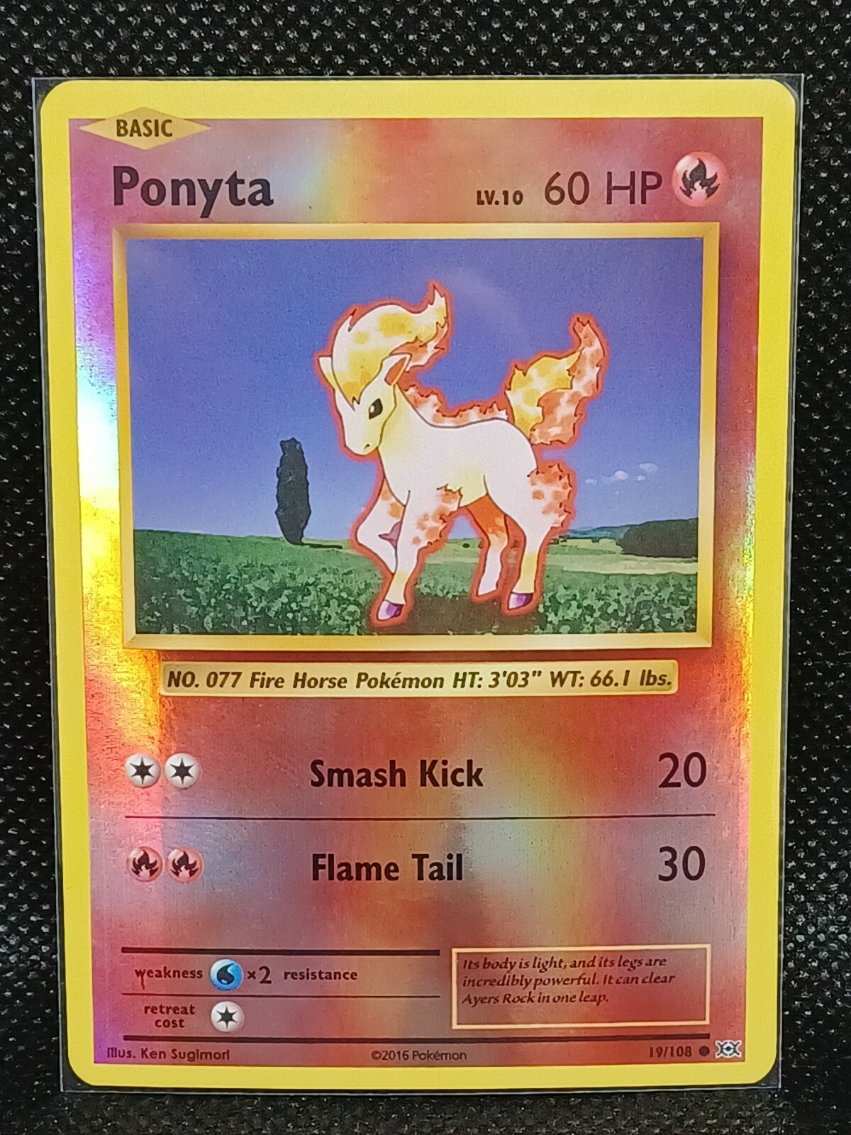 POKEMON TCG CARD Ponyta 19/108 XY Evolutions 2016 Reverse Holo Foil - NM/MT