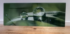 Glasbild Grashalm mit Tropfen 30 x 80