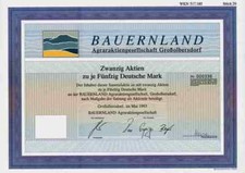 Farerland Agraraktiengesellschaft Großolbersdorf 1993 Marienberg Grünau 1000 DM