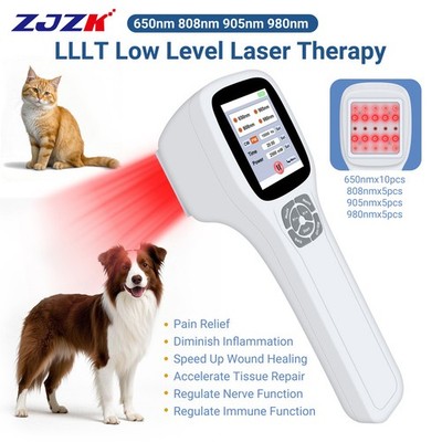 Professional Pain Relief Physiotherapy Cold Laser Therapy for Pets Dog Cat Horse