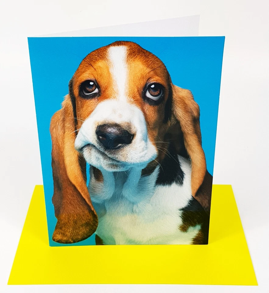 Avanti Press GET WELL Greeting Card Dog Frown When Down "FEEL BETTER!" - Image 2 of 3