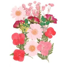 Trockenblumen bunt Dried Flowers Dekoration DIY Schmuck Kerzen Hugel