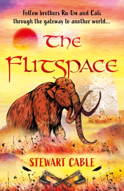 The Flitspace by Stewart Cable (Paperback Book)