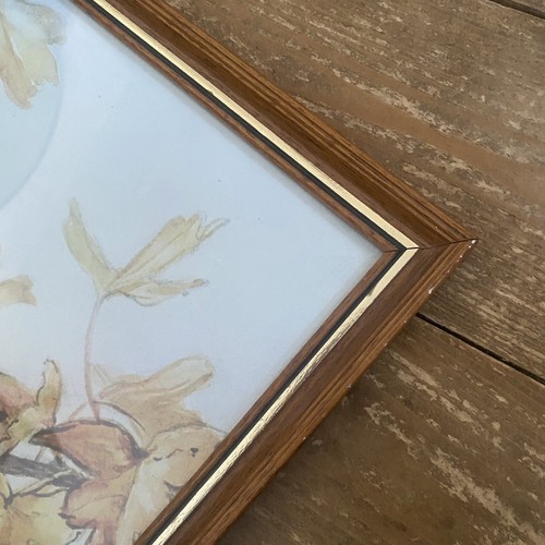 🌟Large Vintage Hawthorn Flower Fairy Cicely Mary Barker Print Framed & Glazed - Picture 7 of 12