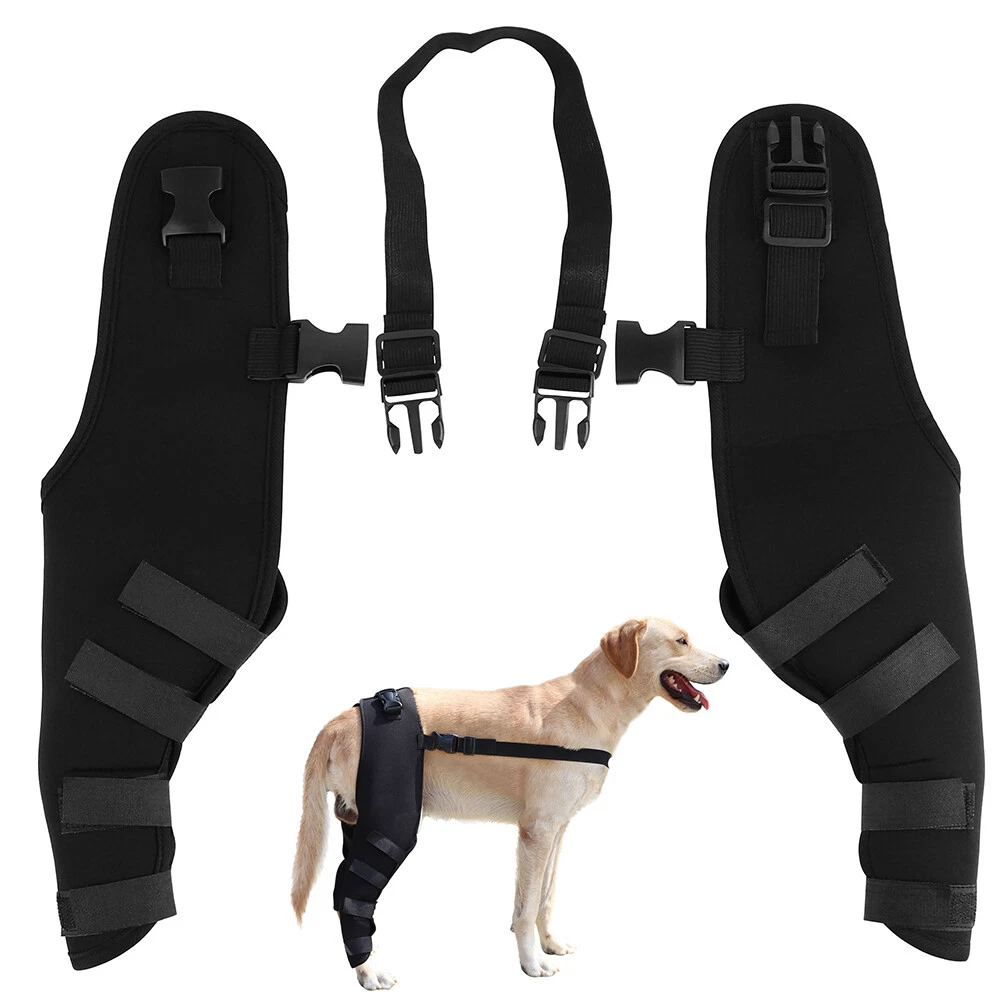 Dog top leg strap