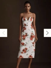 Sachin & Babi Strapless Midi Dress Nora Rose Size 2 Ivory Red NWT