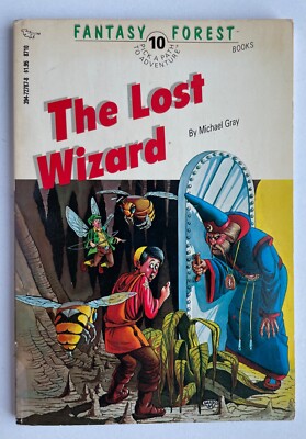The Lost Wizard - Dungeons & Dragons Cartoon Show Book 10 Pick a Path 0880381655