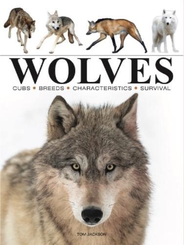 Tom Jackson Wolves (Tascabile) Mini Animals