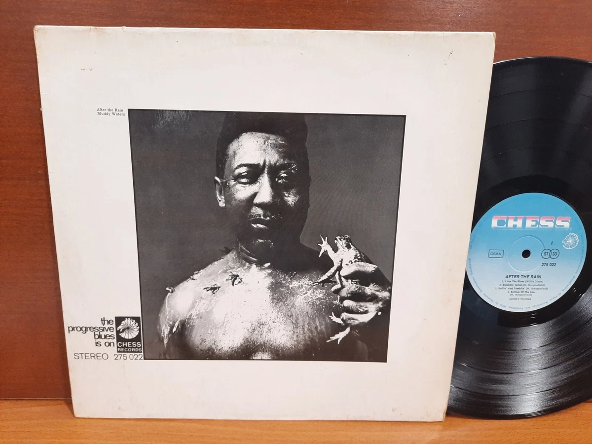 Muddy Waters After The Rain