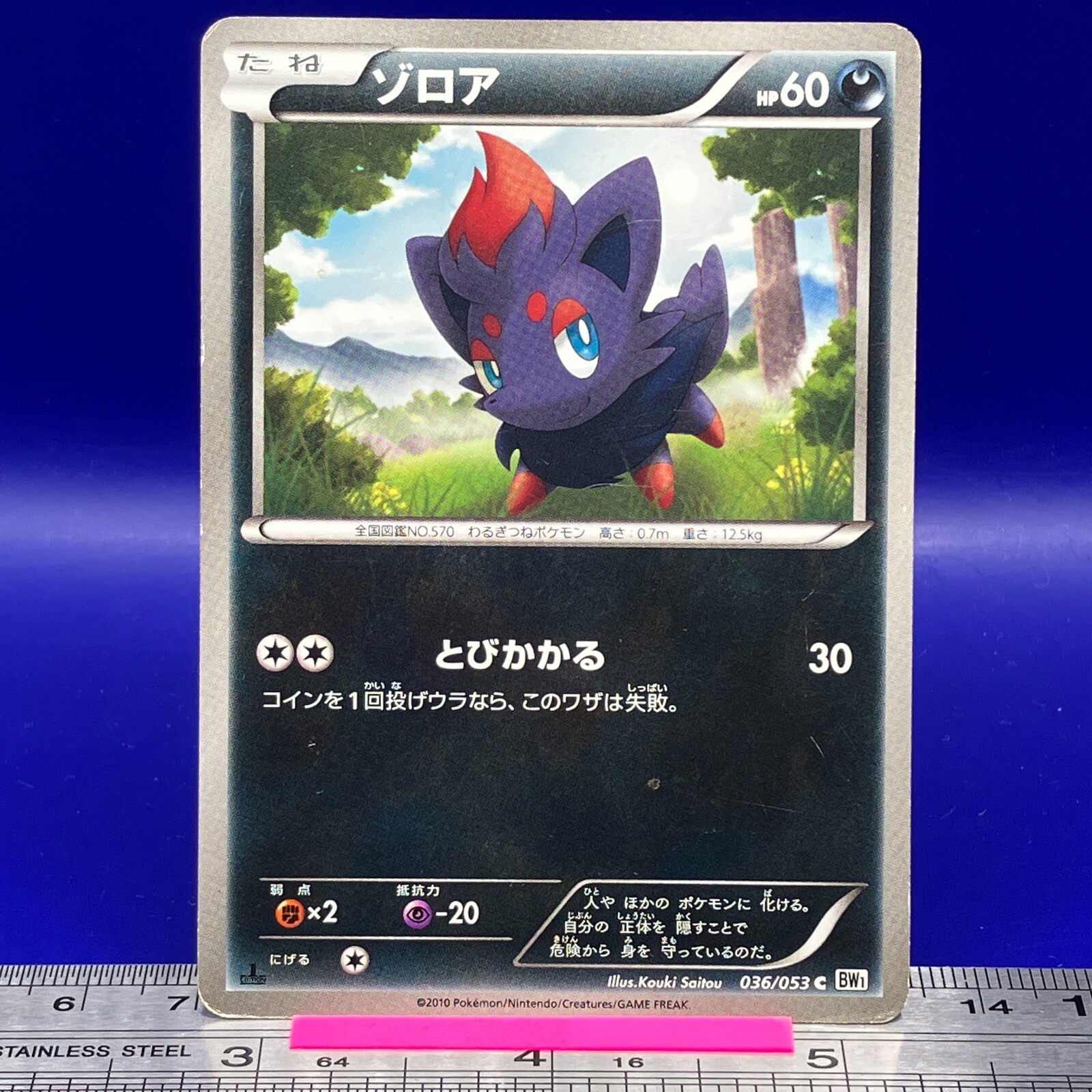 Zorua Pokemon Card 1st Ed 036/053 BW1 2010 Nintendo TCG Japanese #042
