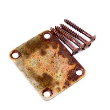 AGP - Tele Strat Aged Relic Guitar Neck Plate Screws 4212635