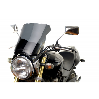 Honda CB 600 F Hornet (2005-2006) Touring Motorcycle windscreen