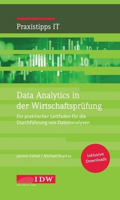 Data Analytics in der Wirtschaftsprüfung: Erhebung und Analyse von Daten (IDW Pr