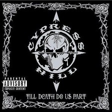 Till Death Do Us Part [PA] by Cypress Hill CD NO CD CASE-GENERIC WHITE SLEEVE