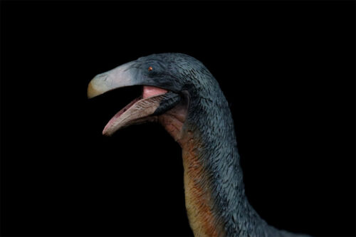 PNSO 65 Therizinosaurus Qingge Model Animal Therizinosauridae Dinosaur Toy Gift - Picture 4 of 12