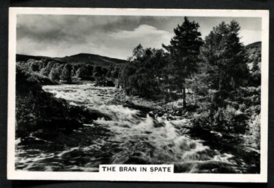 Tabakkarte, Seniorendienst, SCHÖNES SCHOTTLAND, 1939, Die Kleie in Stachel, #42