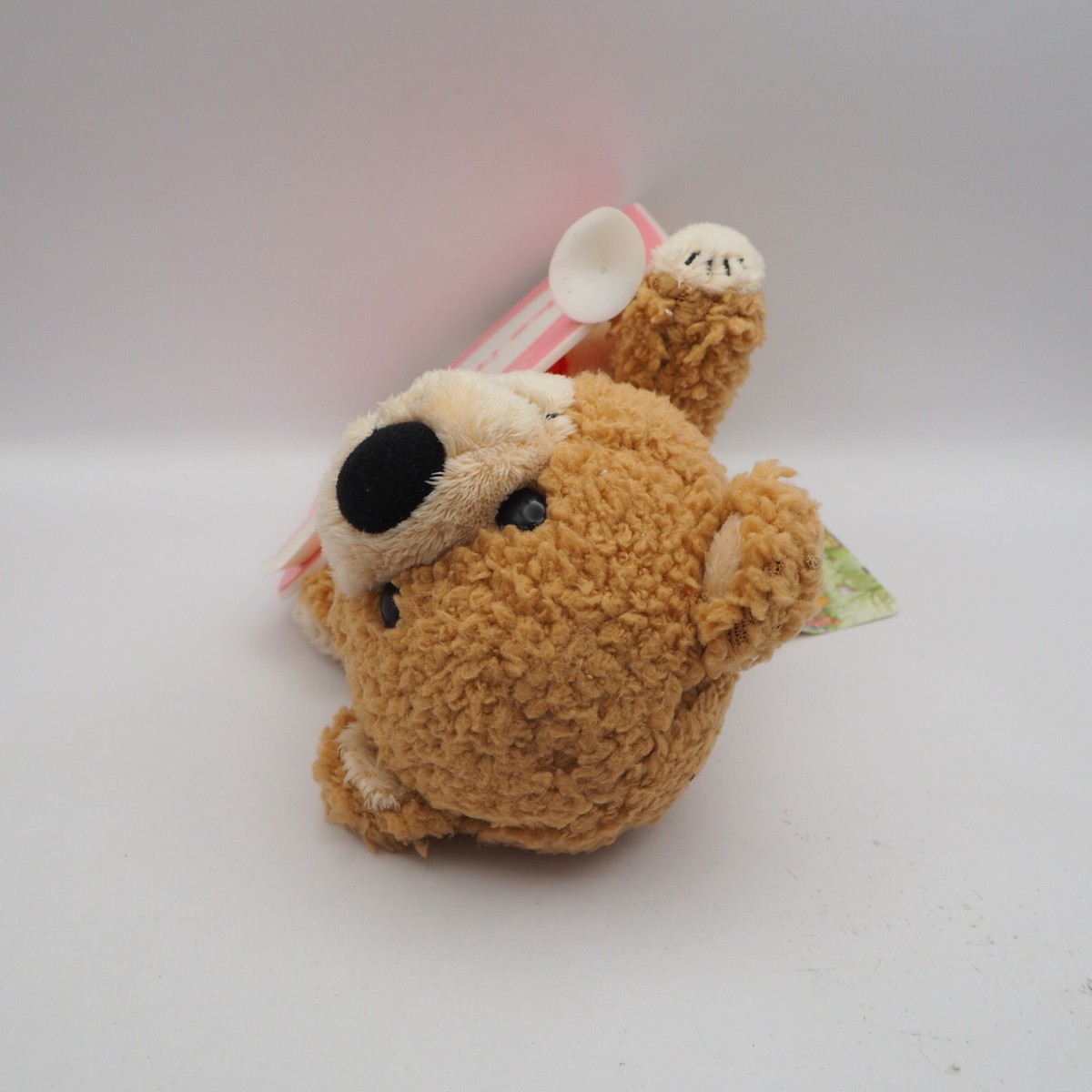 teddy♡ ページ Teddy mode🐻 #teddybear