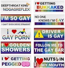 10 PCS Bumper Decals, Funny LGBT Sticker Rainbow Gay Bumper Prank Style 2