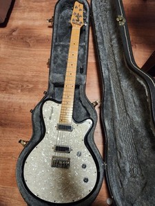 Godin Radiator | eBay