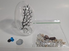 empty shrimp ecopshere kit. DIY you own fully enclosed shrimp ecosphere