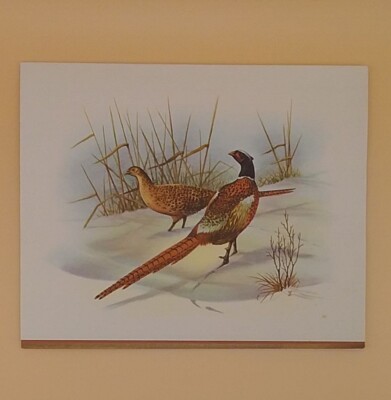 Vintage Christmas Card, Ring Necked Pheasants On Snowy Ground - Used, Card #4