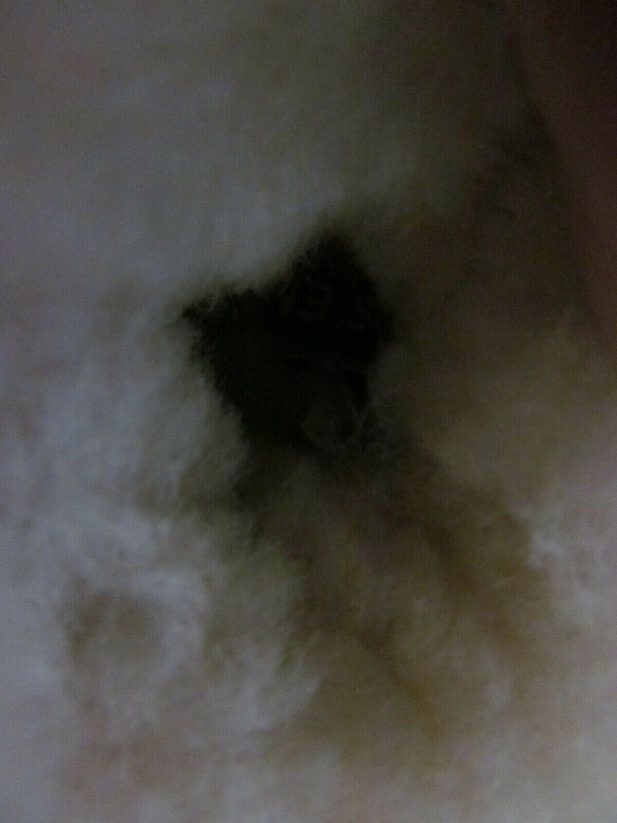 Foto 6 di 8