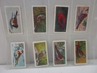 Picture 10 of 11