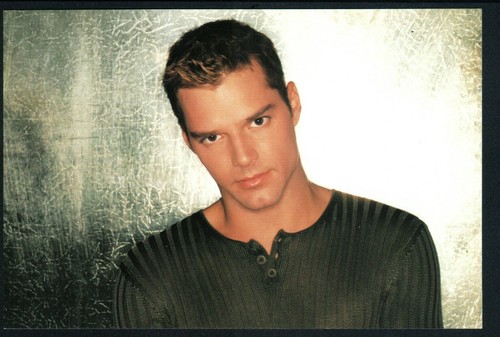 Ricky Martin Photocards Panini Official Licensed Collectible Photos - Imagen 6 de 18
