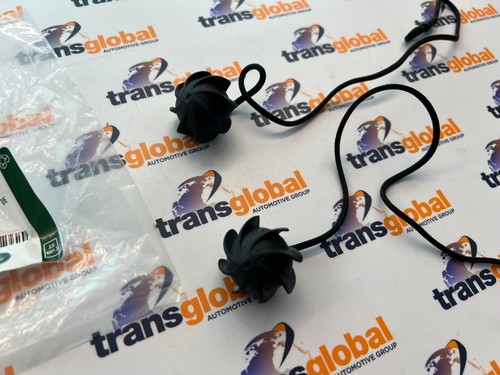 Compartimiento de carga paquete estante cadena x2 para adaptarse a Evoque GENUINO LR LR025716 - Imagen 2 de 3