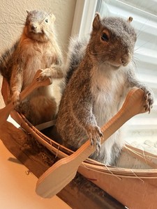 Taxidermy Squirrel Pair Standing Mount Display in Wooden Canoe w/ Paddles