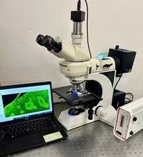Lieca DMLB 100T Fluorescence  Microscope